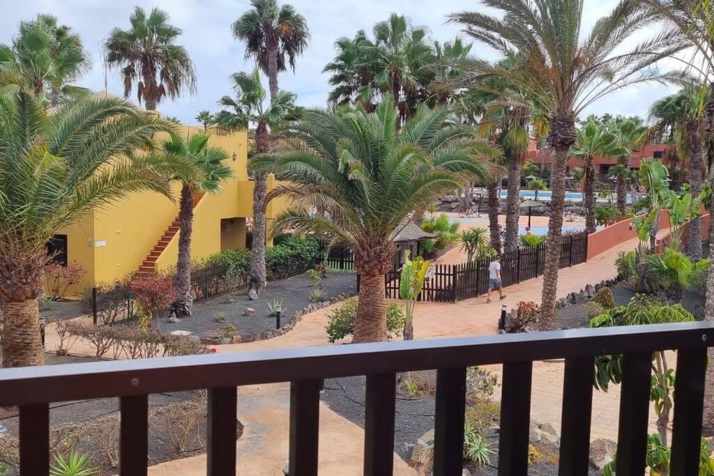 Appartamento Bouganville Con Terrazza E Piscina Corralejo Ngoại thất bức ảnh
