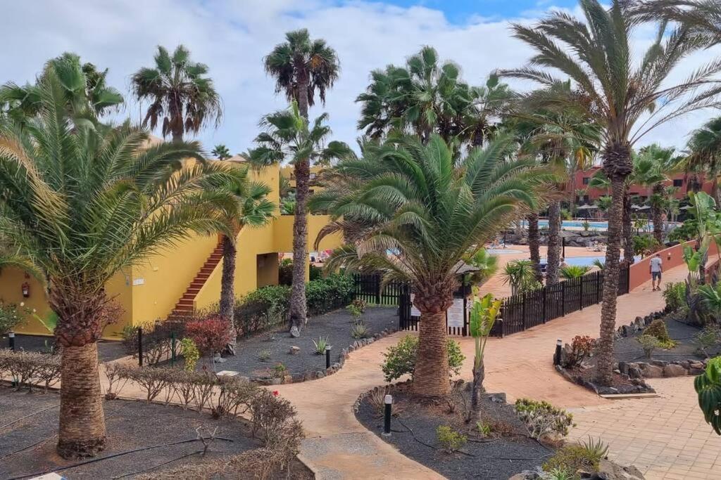 Appartamento Bouganville Con Terrazza E Piscina Corralejo Ngoại thất bức ảnh