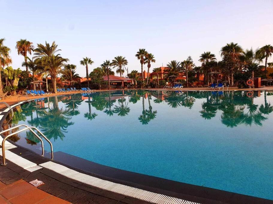 Appartamento Bouganville Con Terrazza E Piscina Corralejo Ngoại thất bức ảnh