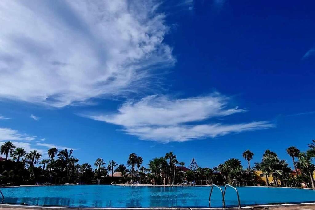 Appartamento Bouganville Con Terrazza E Piscina Corralejo Ngoại thất bức ảnh